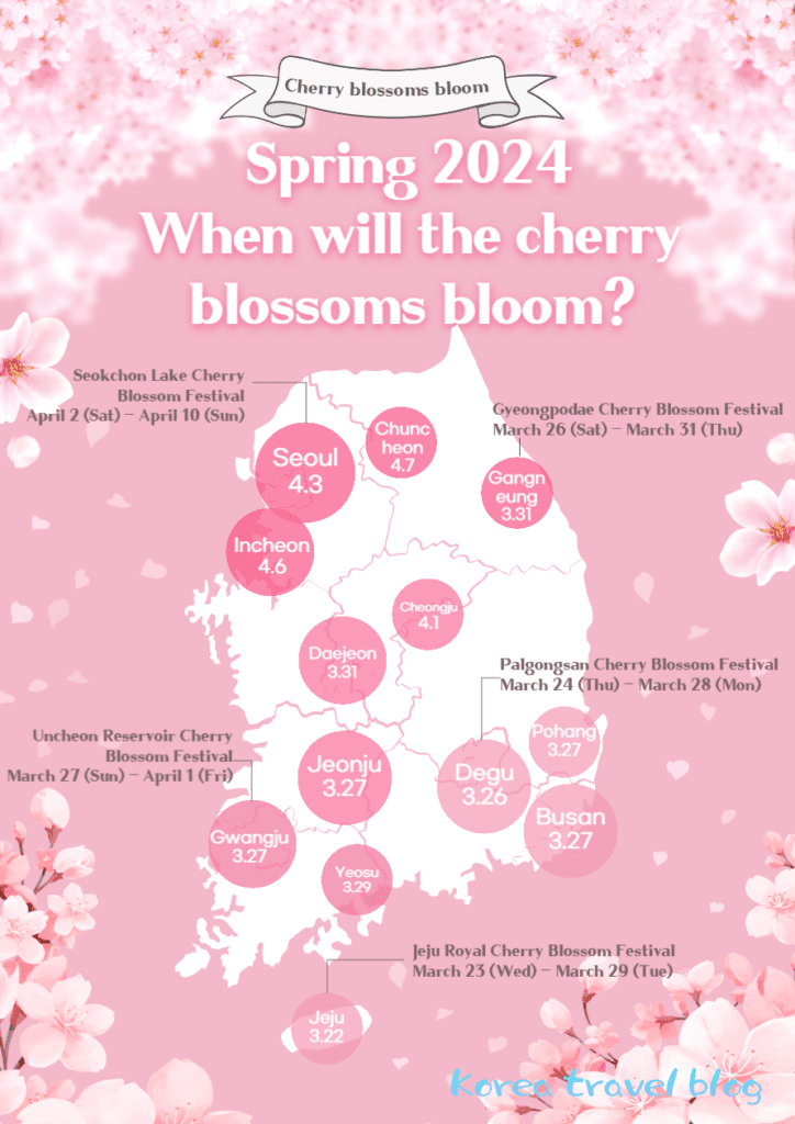 Cherry blossom season in Korea